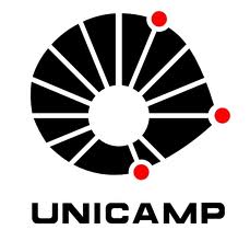 unicamp-logo.gif (1666 bytes)