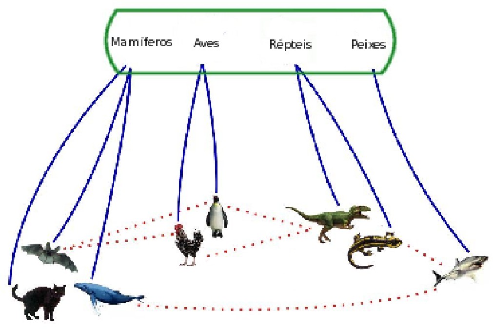 Classificao de animais