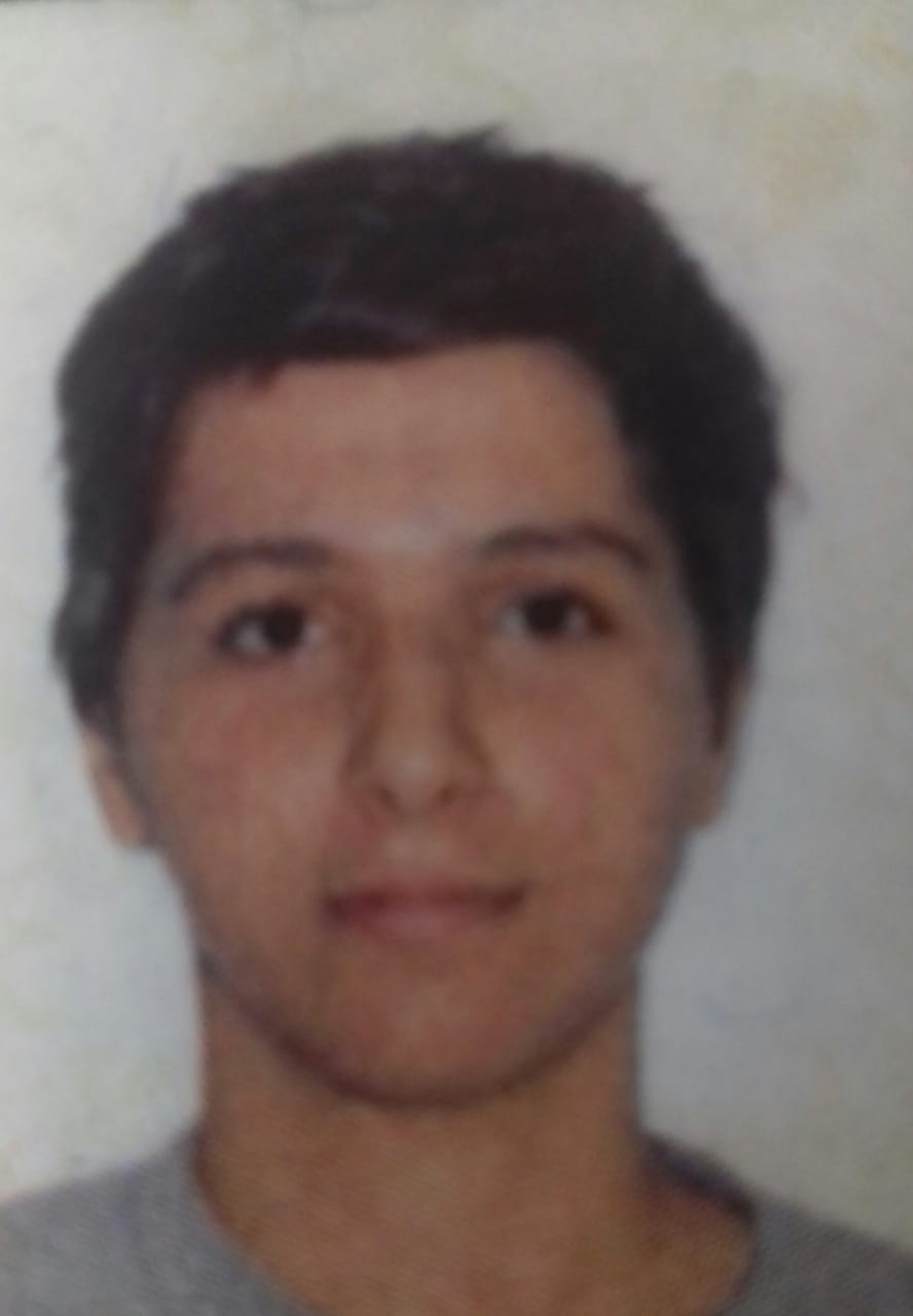 Luis Carlos Martins (CV lattes)